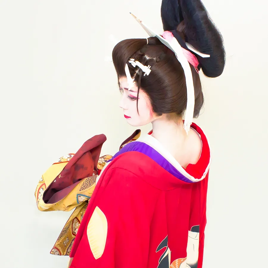 金原亭杏寿（花魁）｜撮影 赤月瀾